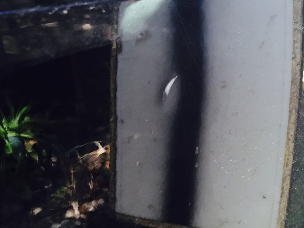 dent in black car body