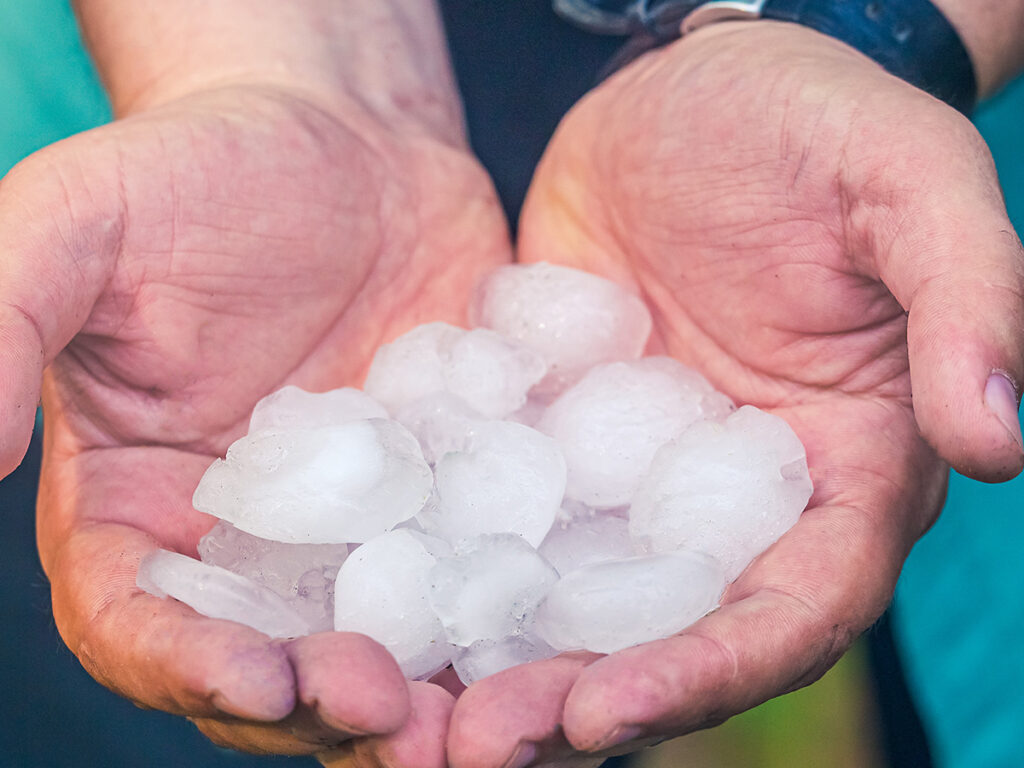 Image of a person holding giant hail stones
